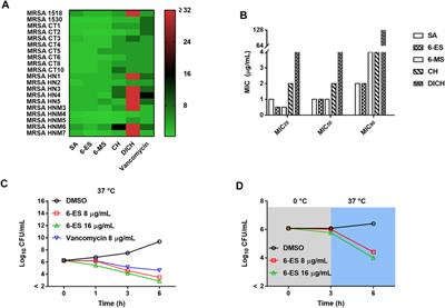 Natural Antibacterial and Antivirulence Alkaloids From Macleaya cordata Against Methicillin-Resistant Staphylococcus aureus